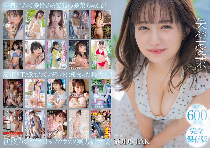 Blu-ray 矢埜愛茉 初総集編！芸能界からAV DEBUTしたSODSTARの20タイトル20SEX豪華10時間スペシャル
