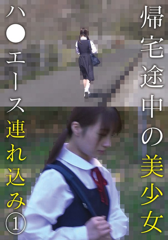 帰宅途中 帰宅途中の美少女ハ●エース連れ込み （1）