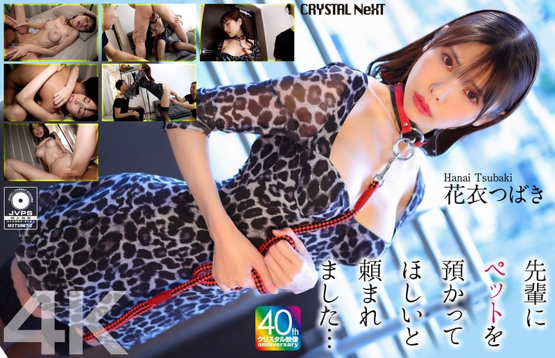花衣つばき 【4K】先輩にペットを預かってほしいと頼まれました… 花衣つばき