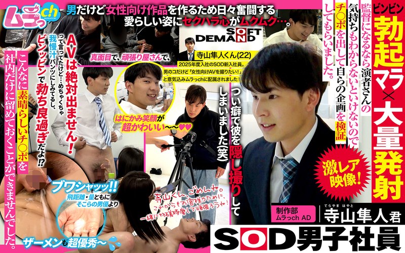 熱血 SOD男子社員 制作部 ムラっch AD 寺山隼人君 ビンビン勃起マラ×大量発射 監督になるなら演者さんの気持ちもわからないといけないのでチ〇ポを出して自らの企画を検証してもらいました。