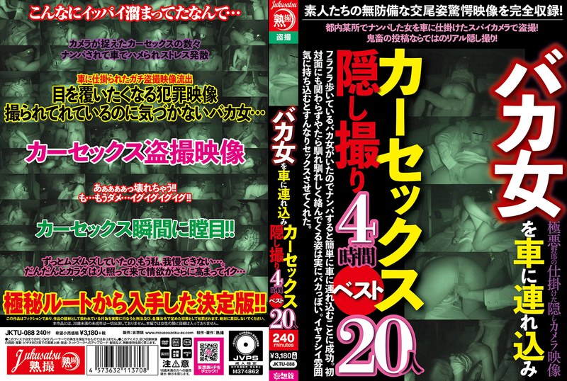 道徳 バカ女を車に連れ込みカーセックス隠し撮り4時間ベスト20人