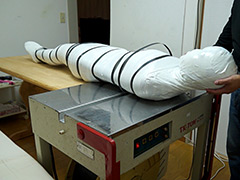 SM Mummification ver.016