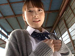 日本メディアサプライ 舞姫 my hime 桜