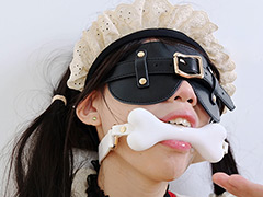 縛り ヨダレを垂らしながらご主人様の指示を待つ人間牝犬