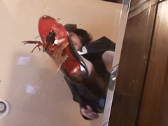 クラッシュ ザリガニクラッシュ＆アクリル板でクラッシュ