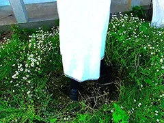 「花のじゅうたん」を踏んで美女がダンス！～涼子様～